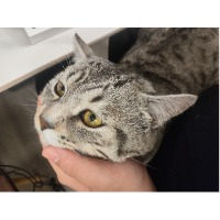 千里同风