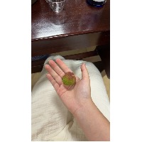小肥